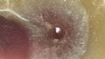20170520_113448_1495342377483.jpg